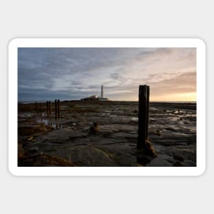 Autumn sunrise at St Mary's Island Sticker